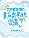 修仙小炮灰,靠盲盒系统逆袭了