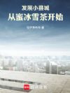 发展小县城,从蜜冰雪茶开始